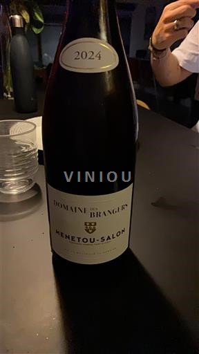 Loirevallei Menetou-Salon Domaine Des Brangers 2024