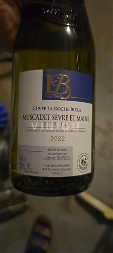 Thung lũng sông Loire Muscadet Sèvre et Maine Domaine Pâtis Tonneau La Roche Bleue 2022