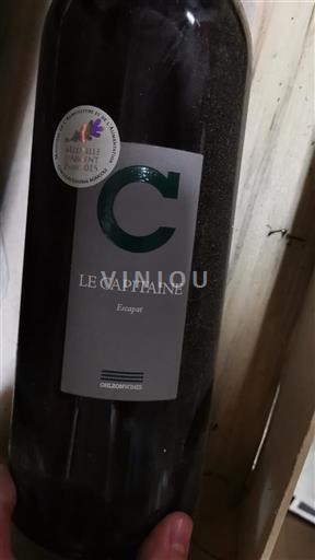Valle del Loira Vouvray Domaine Le Capitaine Essentiel 2014