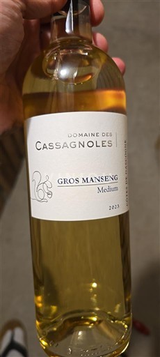 Sudoeste Côtes de Gascogne Domaine Des Cassagnoles Gros Manseng Medium 2023