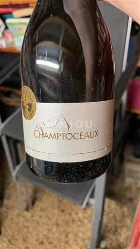 Thung lũng sông Loire Muscadet-Coteaux-de-la-Loire Champtoceaux 2016