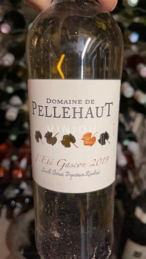 Tây Nam Côtes de Gascogne Domaine Pellehaut L'Été Gascon 2019