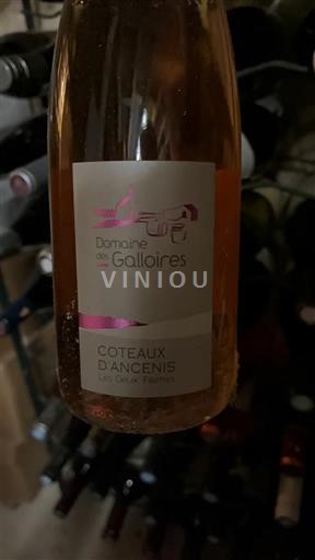 Thung lũng sông Loire Coteaux-d'ancenis Domaine Des Galloires Les Deux Pierre 2020