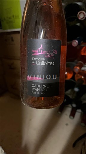 Vallée de la Loire Cabernet-d'anjou Domaine Des Galloires Belle Rivière 2019