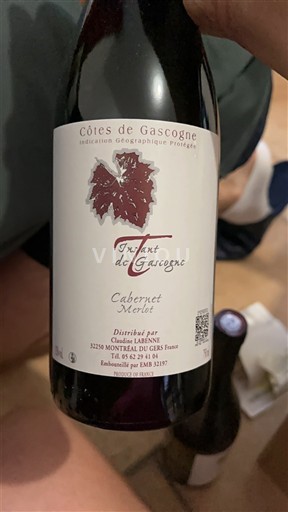Sudoeste Côtes de Gascogne Domaine Laberenne Touhaut de Gascogne Sin añada