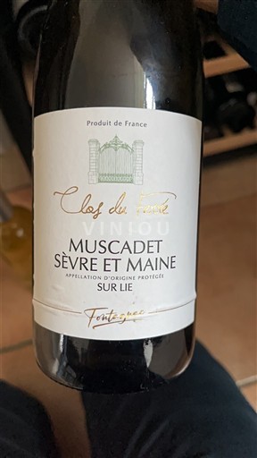 Thung lũng sông Loire Muscadet Sèvre et Maine Clos du Ferré Fontegès 2023