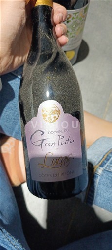 Vale do Ródano Côtes-do-Ródano Domaine Gros Pata Luce 2018
