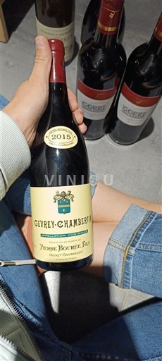 Bourgogne Gevrey-chambertin Pierre Bourée Fils 2015