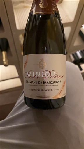 Burgundi Crémant de Bourgogne André Delorme Blanc de Blancs Brut Ei vuosikertaa