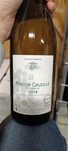 Burgundy Mâcon and Mâcon-Villages Domaine Sainte Barbe 2019