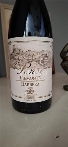 Piemonte Không được chỉ định Cantina di Nizza Pense 2020