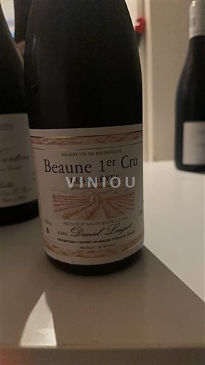 Borgogna Beaune Premier Cru Domaine Daniel Long-Depaquit Les Grèves 2018