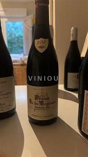 Burgundy Pernand-Vergelesses Premier Cru Dubreuil-Fontaine Ile des Vergelesses 2017