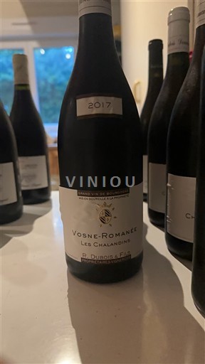 Burgundy Vosne-Romanée R. Dubois & Fils Les Chalendins 2017