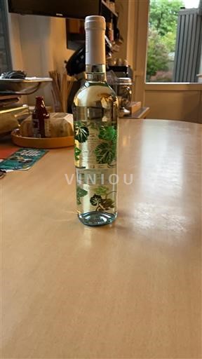 Valle della Loira Muscadet Sèvre et Maine Domaine La Belle Etoile 2022