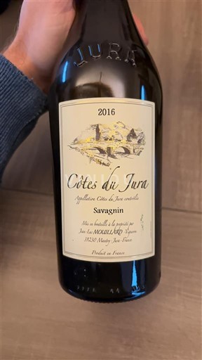 Jura Côtes-du-jura Jean-Luc Mouillard Savagnin 2016