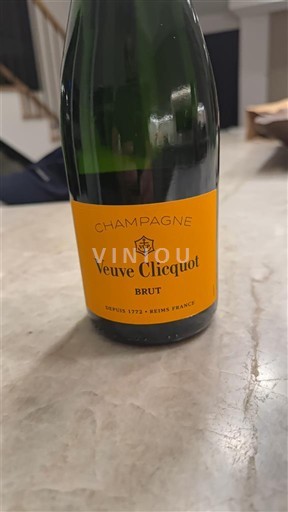 Šampanja Šampanjec Veuve Clicquot Brut Neleten.
