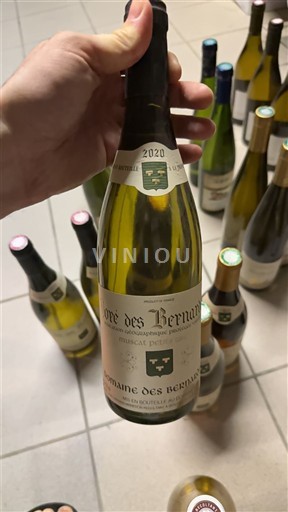 Thung lũng sông Loire Muscadet Sèvre et Maine Domaine Des Bernardières Orée des Bernardières 2020