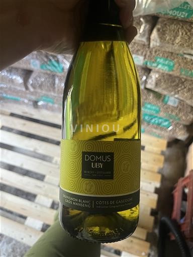 Sudoeste Côtes de Gascogne Domaine Uby Domus Uby 2023
