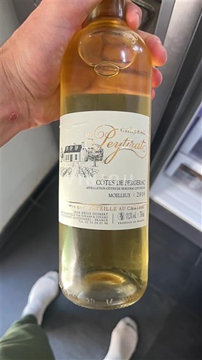 Sydvestfrankrig Côtes-de-bergerac Château Peytirat 2019