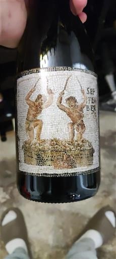 Thung lũng sông Loire Saumur-champigny Domaine Des Roches Neuves Les Périères Không niên vụ