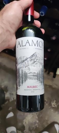 Mendoza Alamos 2024