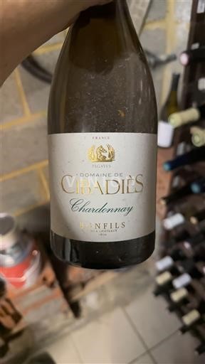 Languedoc và Roussillon Vùng đất Oc Domaine Cibadiès Chardonnay 2020
