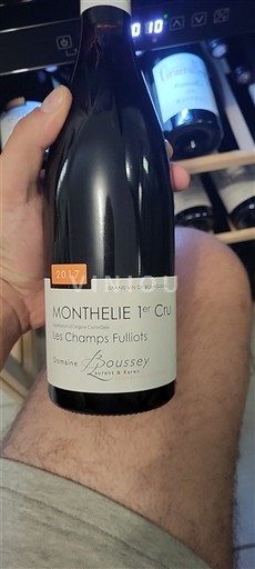 Borgonha Monthélie Premier Cru Domaine Boussey Les Champs Fuillots 2017