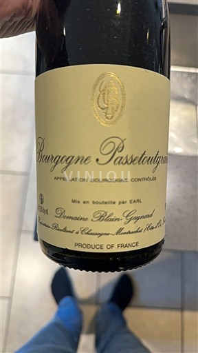 Bourgogne Bourgogne-passetoutgrain Domaine Blain-Gagnard 2022