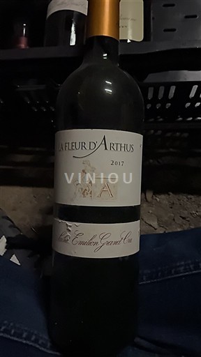 Bordeaux Saint-Émilion Grand Cru Grand Cru La Fleur Arthus 2017
