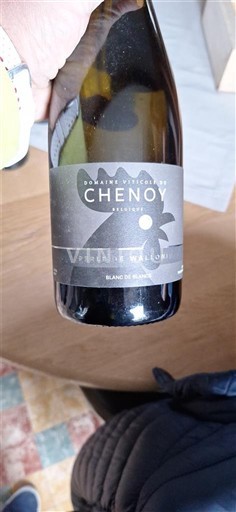 Wallonie Không được chỉ định Domaine Viticole du Chenoy Perle de Wallonie Không niên vụ
