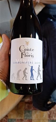 Langvedok Languedoc Le Conte des Floris Carbonifère 2019