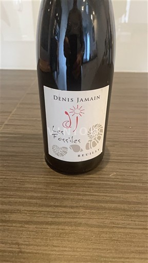 Thung lũng sông Loire Reuilly Denis Jamain Les Fossiles 2015