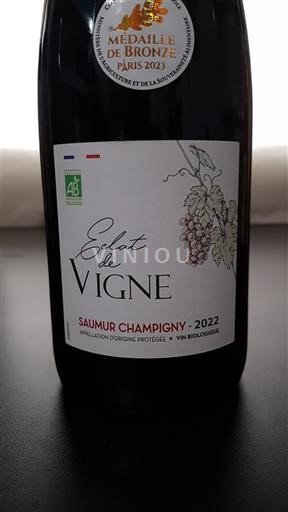Valle della Loira Saumur-Champigny Éclat de Vigne 2022