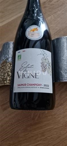 Dolina Loare Сомир-шампини Éclat de Vigne 2022