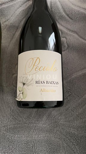 Galicia Rías Baixas Peculo Không niên vụ