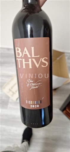 Corse Đảo sắc đẹp Yves Leccia BALTHVS 2020