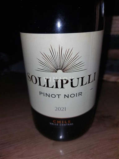Maipo Valley Maipo Central Sollipulli 2021