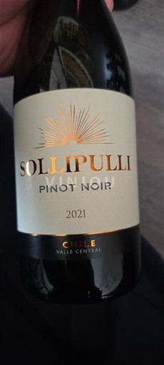 Долина Майпо Маїпо Сентраль Sollipulli 2021