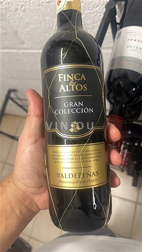 Castilla-La Mancha Valdepeñas Finca los Altos Gran Colección Không niên vụ