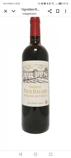 Bordeaux Montagne Saint-Émilion Château Tour Bayard Senza annata