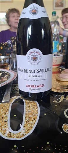 Borgogna Côte de Nuits Villages Moillard Les Coteaux 2022