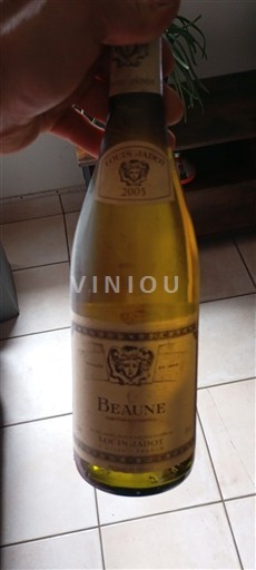 Borgogna Beaune Louis Jadot 2005
