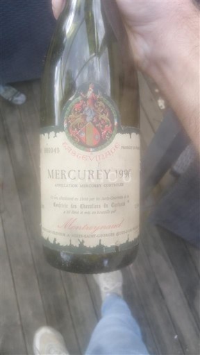 Borgogna Mercurey Château Chamirey 1996