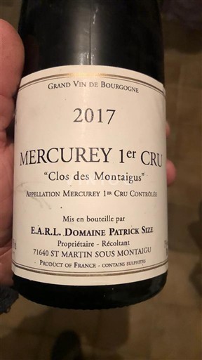 Borgonha Não especificado Premier Cru Domaine Patrick Size Clos des Montaigus 2017