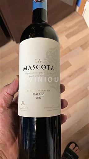 Mendoza Mascota Vineyards 2022