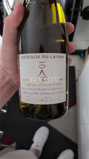 Údolí Loiry Coteaux-du-Layon La Roche Saint-Aubin 2022