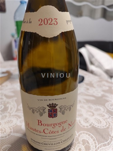Burgundsko Hautes Côtes de Nuits Domaine Chevillon-Chezeaux 2023