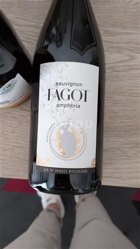 Loire Valley Fiefs Vendéens Fagot amphória Non-Vintage