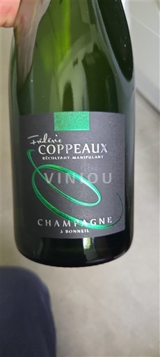 Champagne Frédéric Coppeaux Niet-geïntegreerd